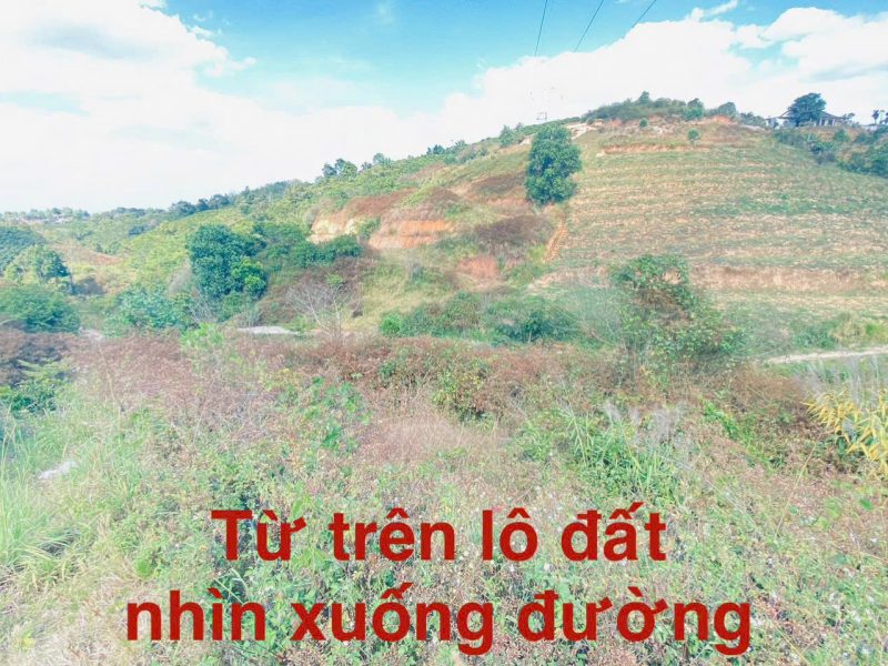 1-lo-dat-thuoc-xa-ninh-gia-duc-trong-cu-lam-dong-sau-bach-hoa-xanh-di-vao
