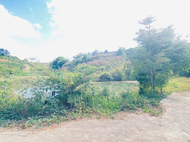 1-lo-dat-thuoc-xa-ninh-gia-duc-trong-cu-lam-dong-sau-bach-hoa-xanh-di-vao