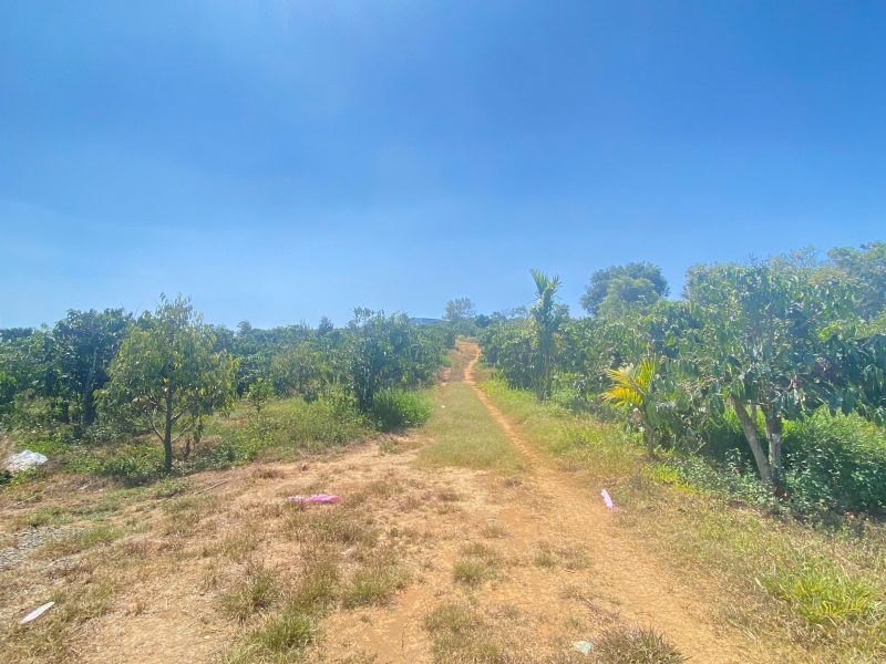dat-hem-ql28b-ninh-gia-duc-trong-cu-lam-dong-3-7-hec-ta-37-000m2-