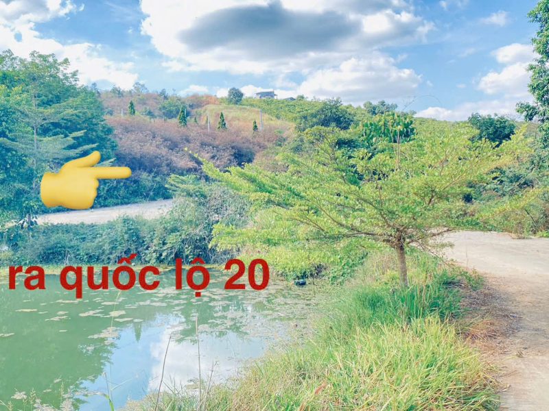 1-lo-dat-thuoc-xa-ninh-gia-duc-trong-cu-lam-dong-sau-bach-hoa-xanh-di-vao