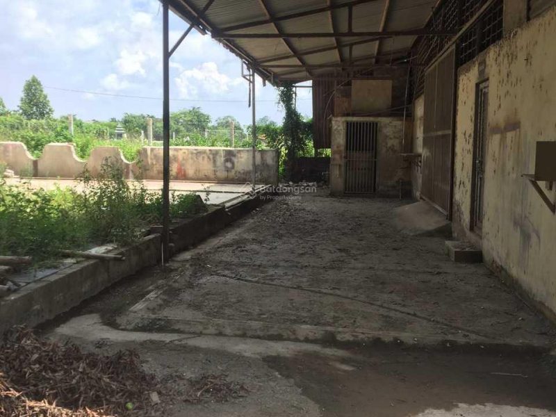 cho-thue-kho-500m2-dat-800m2-tai-duong-21b-huyen-thanh-oai-30tr-thang