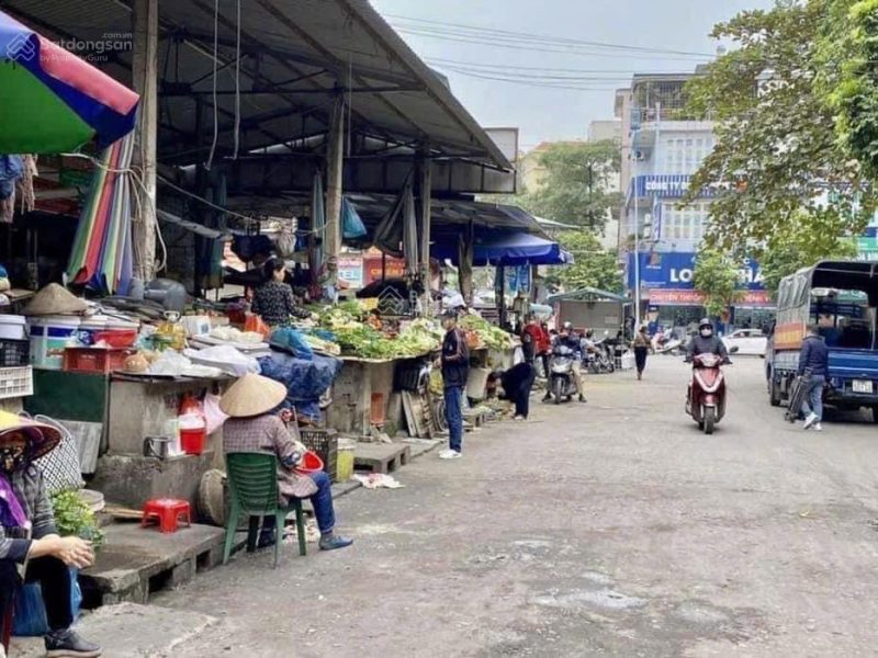 hiem-dat-doi-dien-vincom-cat-lo-lo-biet-thu-261m2-sat-lang-dai-hoc-long-thanh