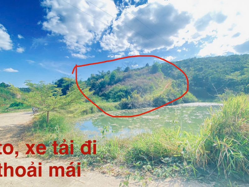 1-lo-dat-thuoc-xa-ninh-gia-duc-trong-cu-lam-dong-sau-bach-hoa-xanh-di-vao