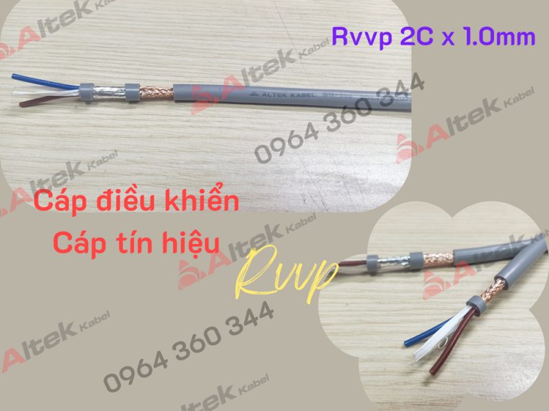 cap-dieu-khien-pvc-2-loi-chong-nhieu-khong-chong-nhieu