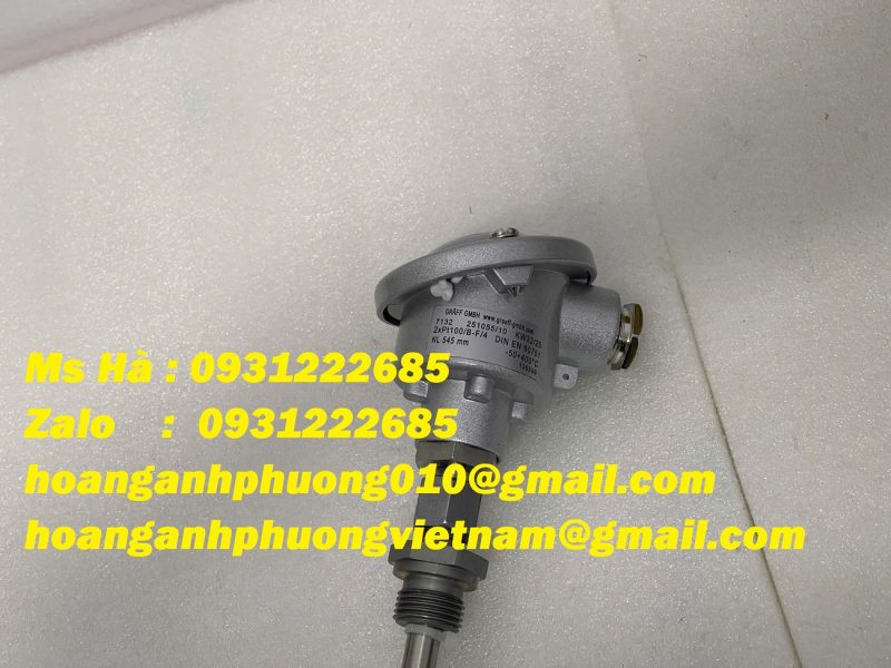 cam-bien-cong-nghiep-2xpt100-b-f-4-din-en-60751-graff-7132