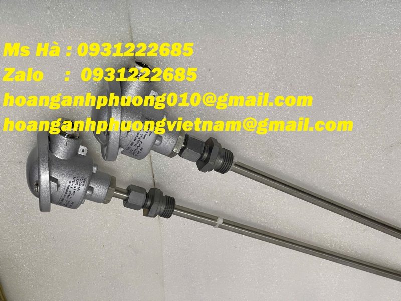 cam-bien-cong-nghiep-2xpt100-b-f-4-din-en-60751-graff-7132