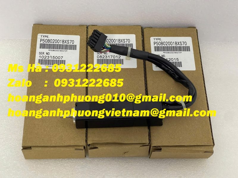 dong-co-sanyo-denki-p50b02001bxs70-nho-gon-tien-loi