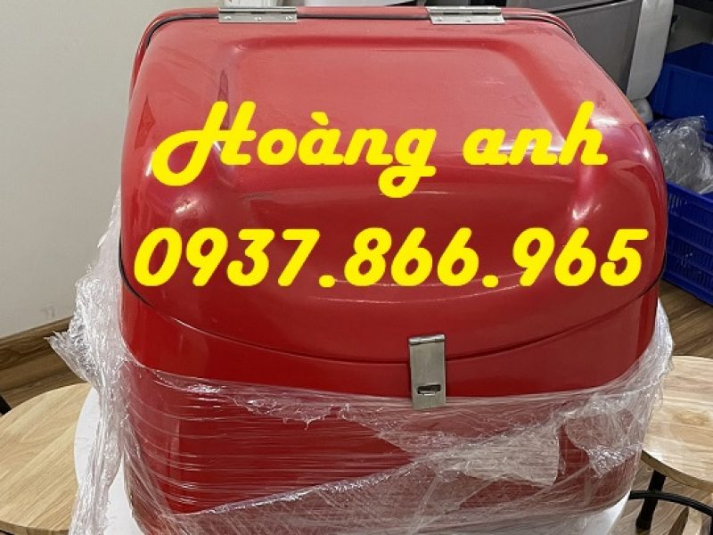 don-vi-san-xuat-thung-cho-hang-thung-nhua-co-mut-giu-nhiet-thung-giao-pizza