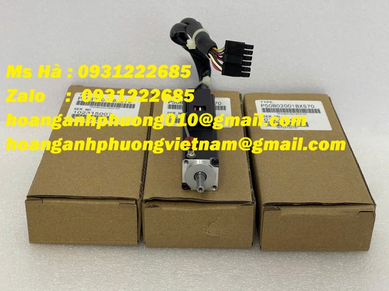 dong-co-sanyo-denki-p50b02001bxs70-nho-gon-tien-loi