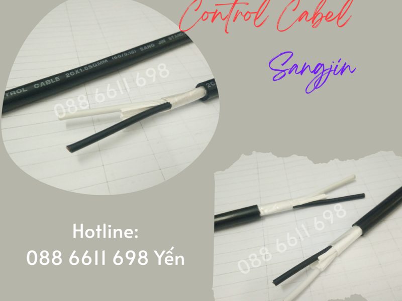 cap-dieu-khien-2x1-25-sangjin-san-kho-hcm