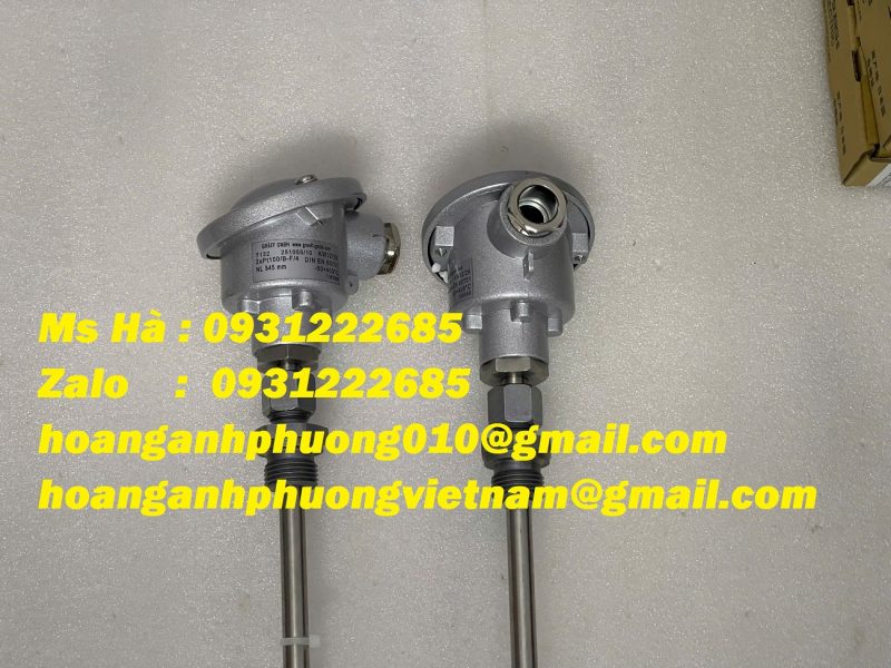 cam-bien-cong-nghiep-2xpt100-b-f-4-din-en-60751-graff-7132