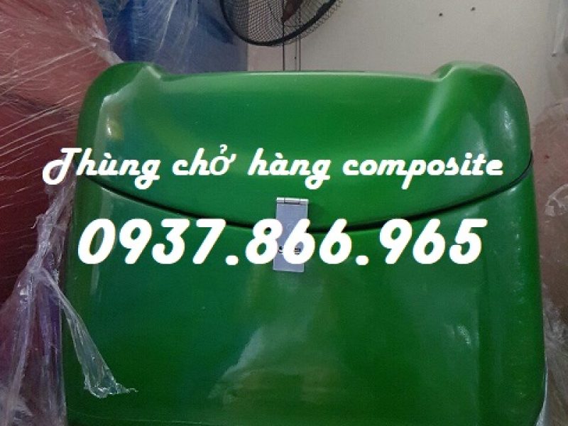 don-vi-san-xuat-thung-cho-hang-thung-nhua-co-mut-giu-nhiet-thung-giao-pizza