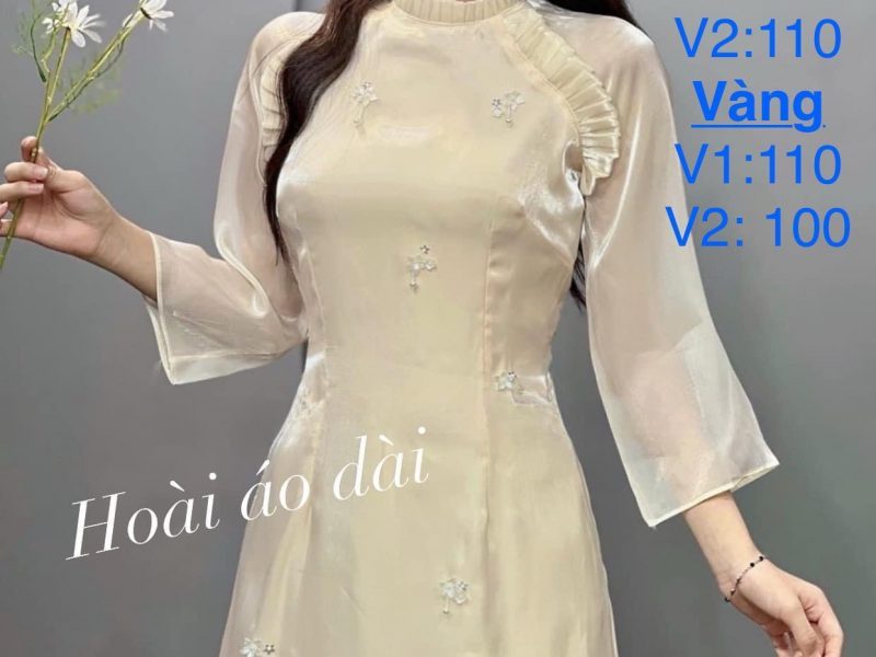 dau-bigsize-co-ngay-ao-dai-bigsize