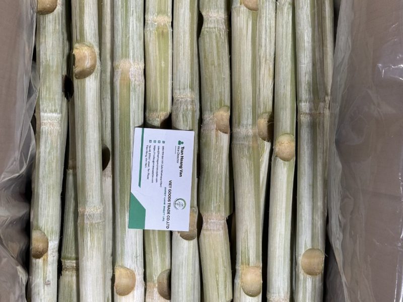 mia-dong-lanh-xuat-khau-viet-goods-trade