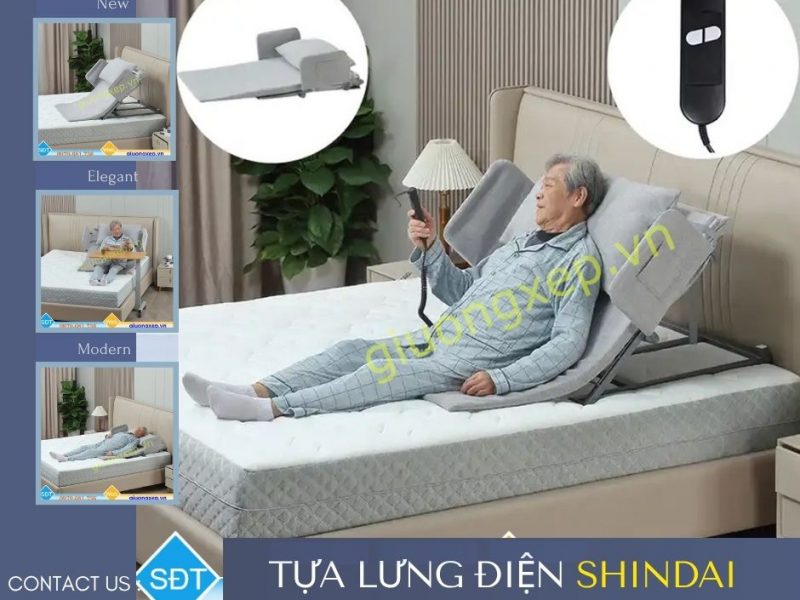 giuong-dien-nang-lung-giup-nguoi-tai-bien-ngoi-day-nhe-nhang-giam-dau-