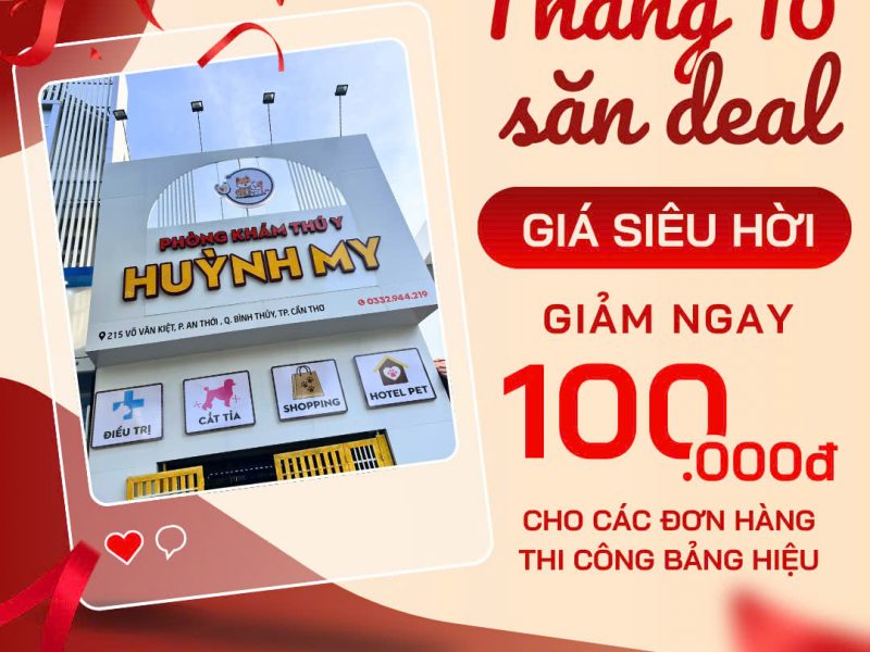 thiet-ke-in-an-thi-cong-san-xuat-gia-re