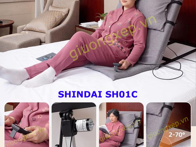 shindai-giup-nguoi-benh-tu-nam-ngoi-day-de-dang-chi-voi-1-nut-bam