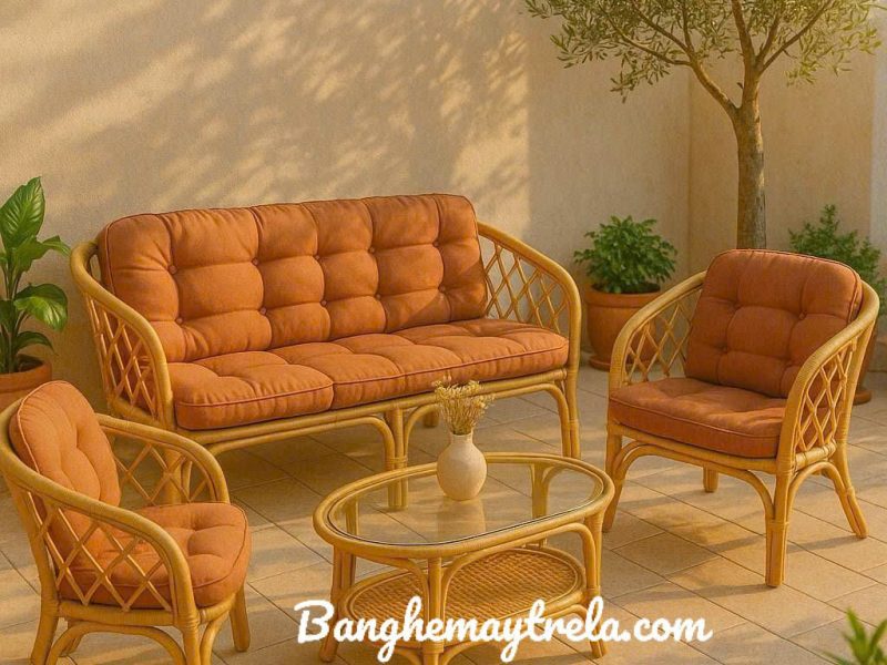 ban-ghe-sofa-may-tu-nhien-sofa-may-tre-dan