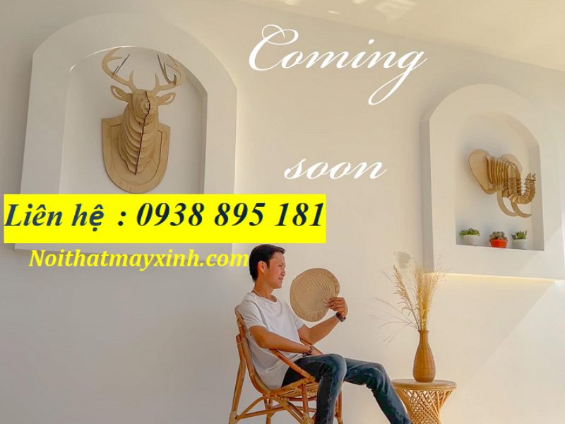ghe-may-so-coc-gia-re-chinh-hang