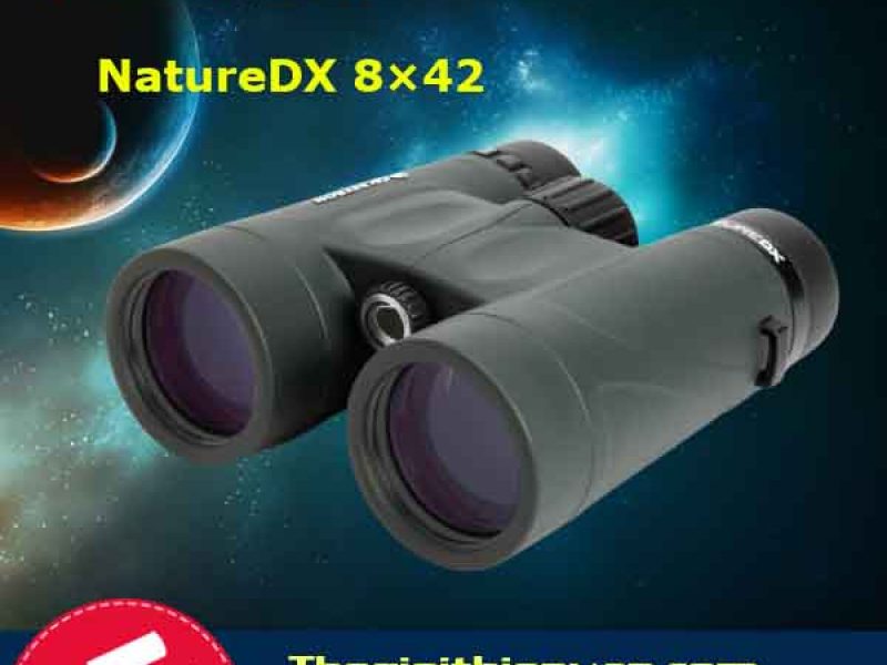 ong-nhom-celestron-nature-dx-8-42