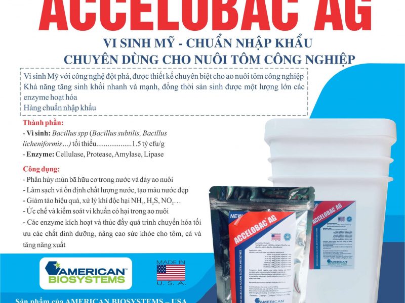 vi-sinh-my-accelobac-ags-xu-ly-nuoc-va-day-ao-hieu-qua