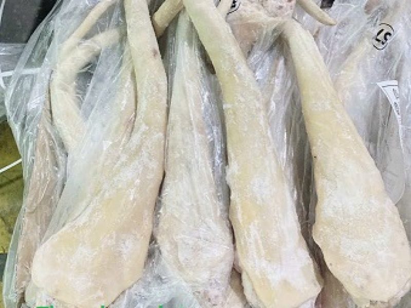 duoi-trau-nhap-khau-co-tot-khong-