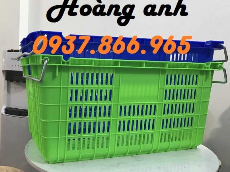 ban-buon-sot-co-quai-sot-gia-re-tai-ha-noi-song-nhua-ho-hs011