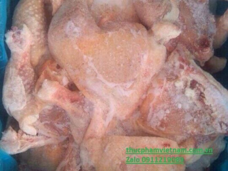 dui-ga-goc-tu-my-400-500g-dui-gia-canh-tranh