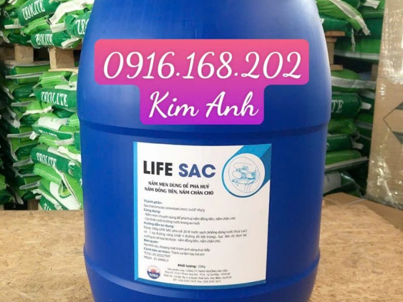 life-sac-nam-men-dung-de-phan-huy-nam-dong-tien