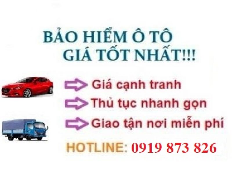 bao-hiem-o-to-gia-uu-dai-chi-tu-279k