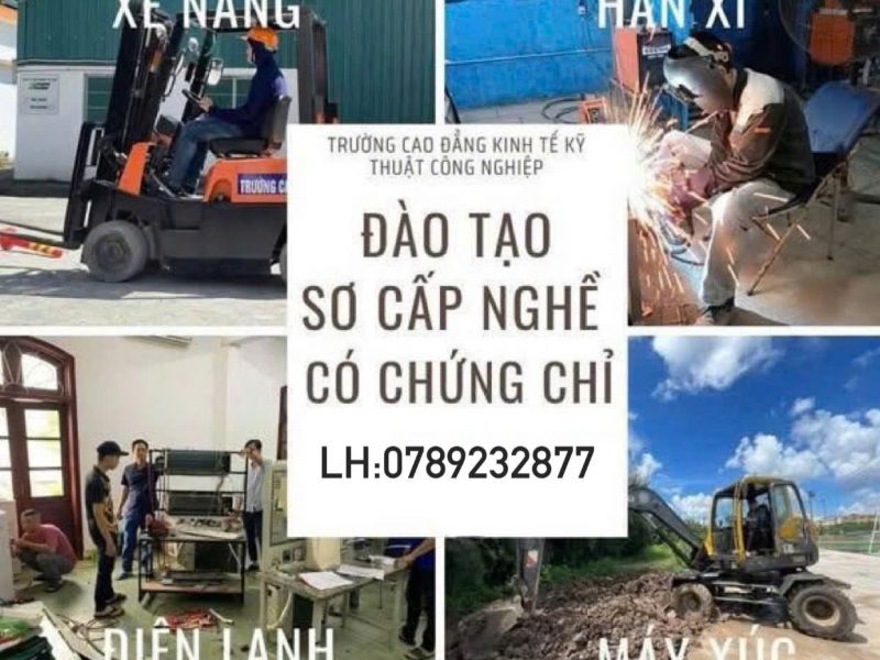 dao-tao-xe-nang-may-xuc-may-cau-cap-chung-chi-tai-hai-phong