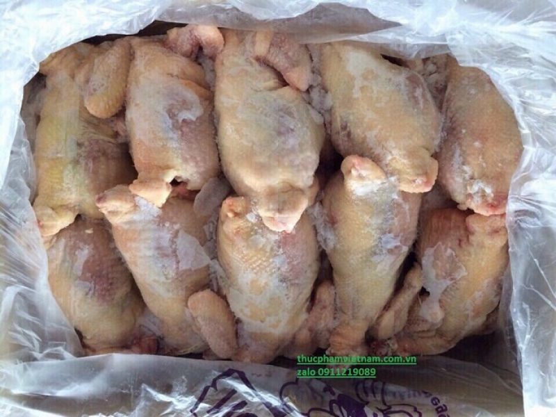 dai-ly-chuyen-ban-buon-ga-dai-han-quoc-nhap-khau