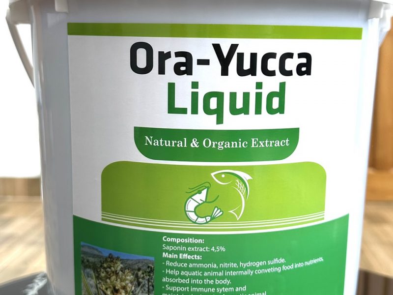 mua-ban-yucca-nguyen-lieu-yucca-xu-ly-nuoc-yucca-bot-yucca-nuoc-gia-si