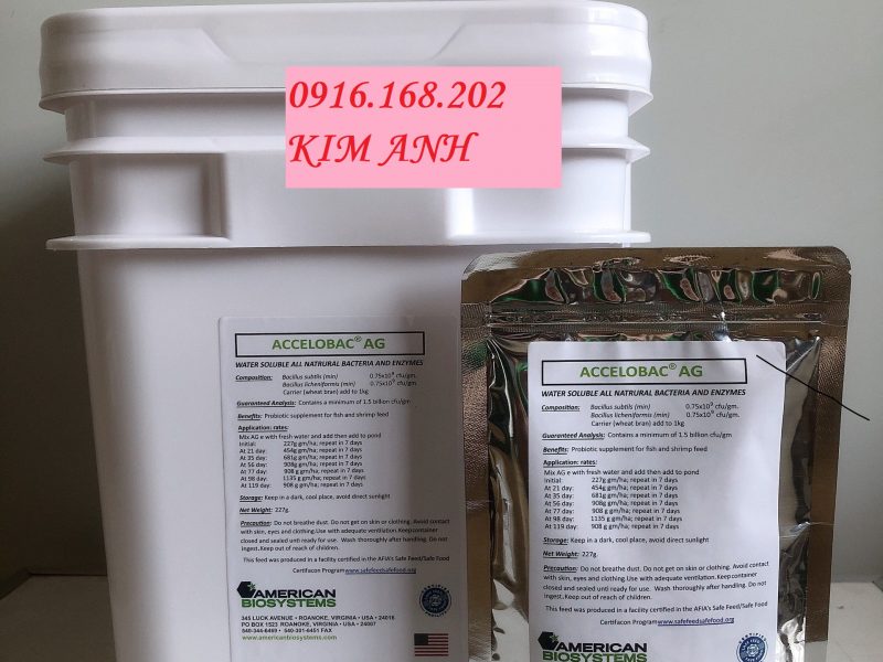 vi-sinh-my-accelobac-ags-xu-ly-nuoc-va-day-ao-hieu-qua