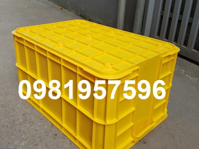 thung-nhua-dac-kich-thuoc-61x42x31-cm-song-nhua-bit-khay-nhua-dac