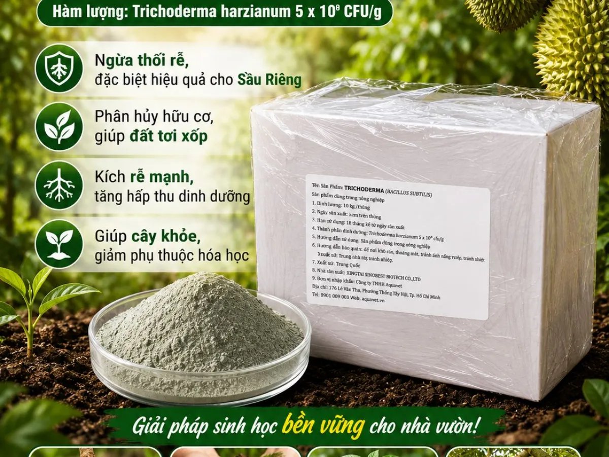 trichoderma-harzianum-5-10-cfu-nam-doi-khang