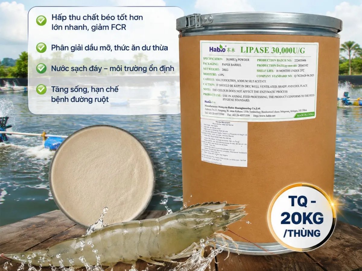 enzyme-lipase-30000-u-ho-tro-tieu-hoa