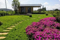 Bán lô đất 1044m2 tại Đức Trọng, Lâm Đồng