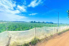 Bán 6 sào đất tại Đức Trọng, Lâm Đồng