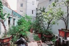 Bán 50m đất Hưng Phúc, Hoàng Mai, Hà Nội