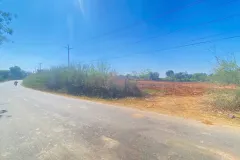 Bán đất 1ha mặt tiền nhựa tại Đức Trọng, Lâm Đồng