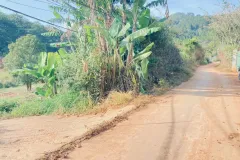 Bán 4 sào đất tại Đơn Dương, Lâm Đồng