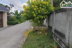 Bán nhà 3 phòng ngủ tại Bình Đại, Vĩnh Long