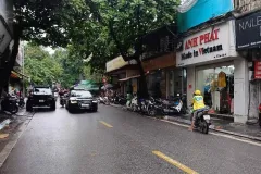 Bán đất lô góc 120M mặt phố Mai Hắc Đế, Hai Bà Trưng