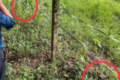 Bán đất 5x53m tại Bến Cát, Bình Dương