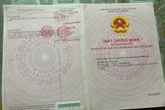 Bán đất 100m² tại KDC Trung Thành, Cần Đước, Tây Ninh