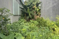 Bán đất 54m2 tại Đông Anh, Hà Nội