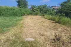 Cần bán đất đẹp tại Hưng Long, Bình Chánh