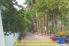 NHÀ XƯỞNG ĐẸP – GIÁ ĐẦU TƯ –CẦN BÁN NHÀ XƯỞNG Tại CỤM CÔNG NGHIỆP NHỊ XUÂN,