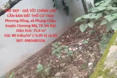 Cần bán đất thổ cư tại Phụng Châu, Chương Mỹ, Hà Nội